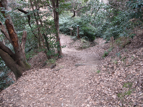 20180223hike (119)